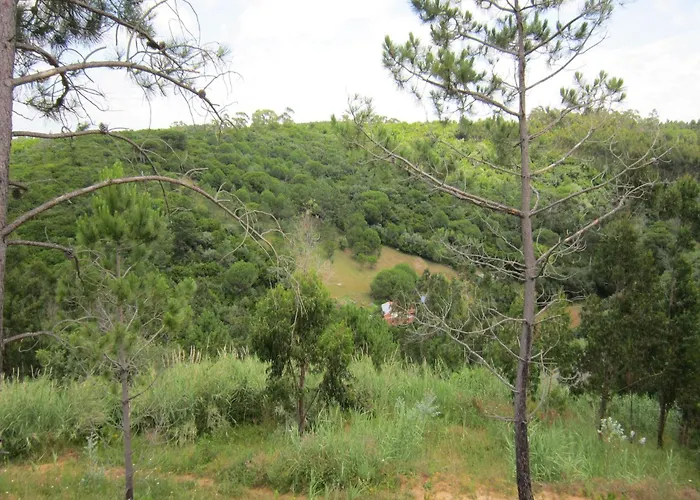 Modern In * Cela Velha